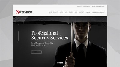  Security Services Website Design Amritsar | Design#392
     