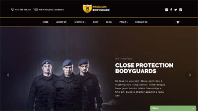  Security Services Website Design Amritsar | Design#390
     