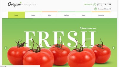  Agriculture Website Design Amritsar | Design#583
     