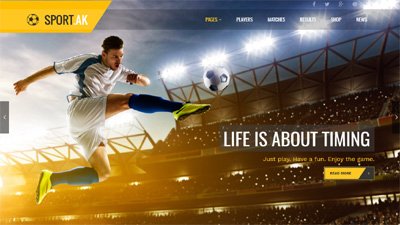  Sports Website Design Amritsar | Design#446
     